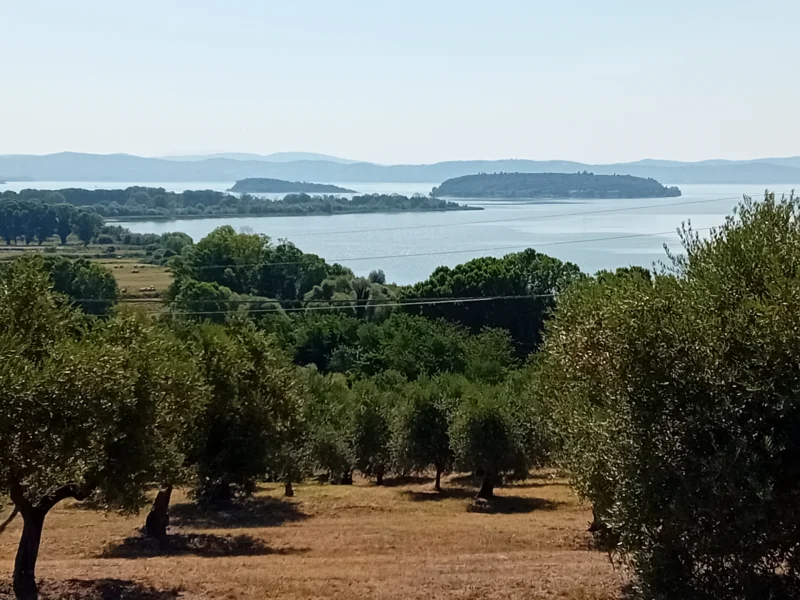 Tuoro, Puntabella prospettiva delle isole laddove vi fu la battaglia vittoriosa di Annibale contro i romani
