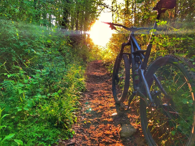 le nostre bicilette muscolari e da enduro