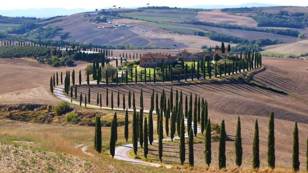 La Val d'Orcia, il viale di cipressi di Lucciolabella