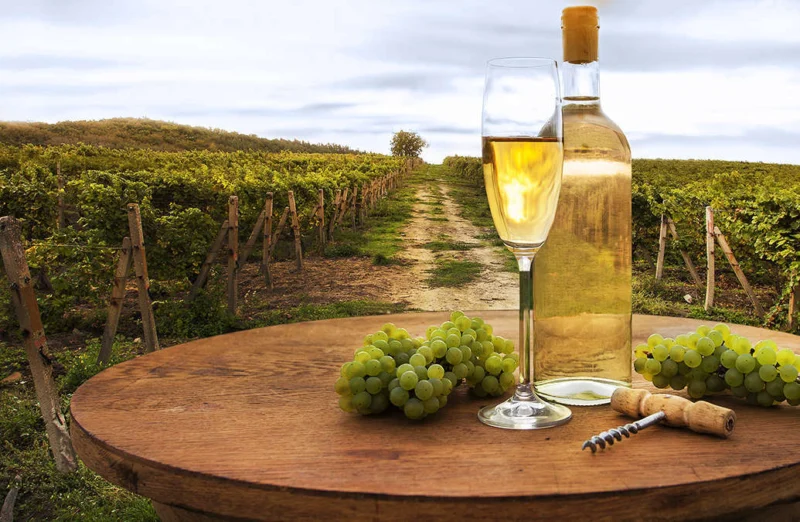 8 Tra i vini serviti a Castelbrio vi è il Vino Grechettto