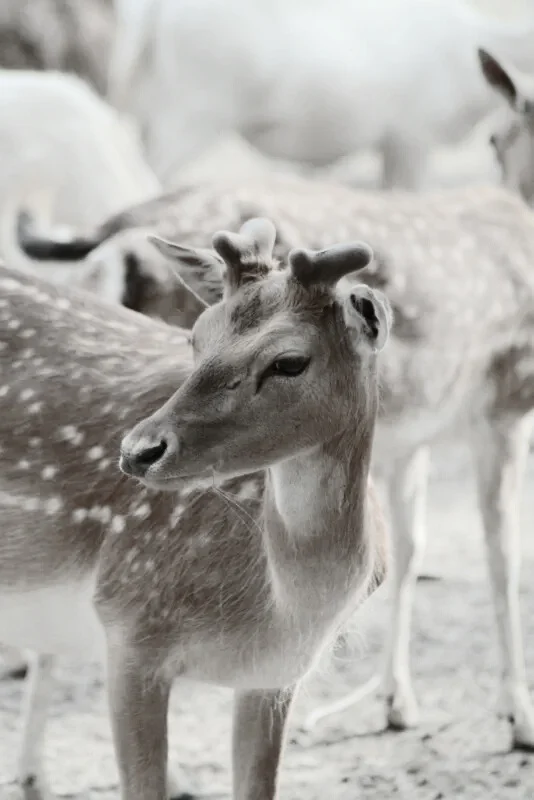 d738278d-49b1-409a-a4d6-fc5b823e5a48